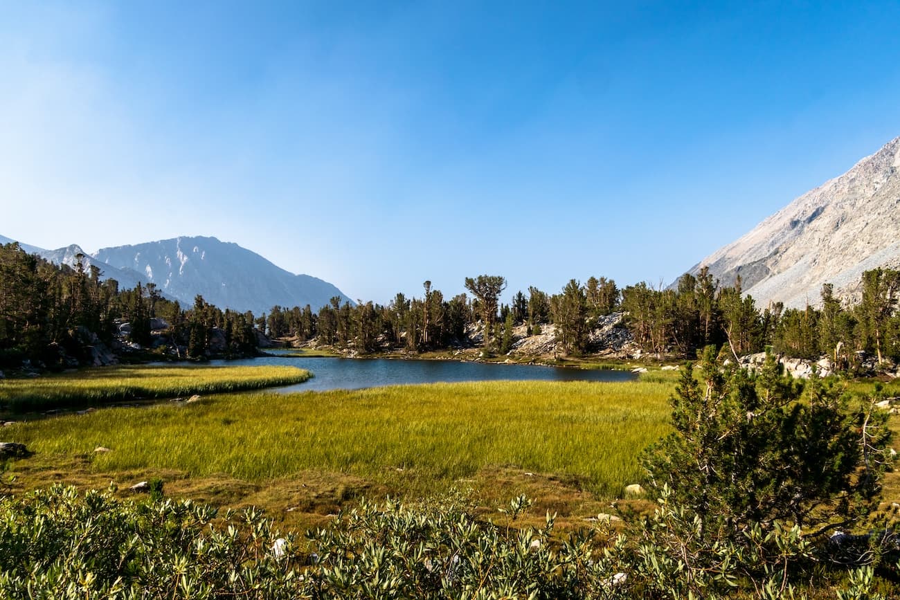 Alpine meadows near Chickenfoot Lake in the Little Lakes Valley of the Eastern Sierras