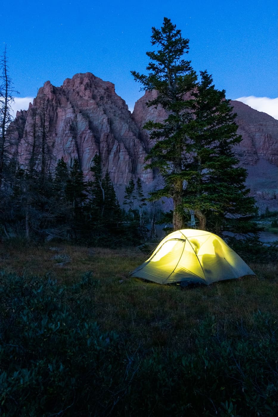 Brock in the Eagle Cap Wilderness
