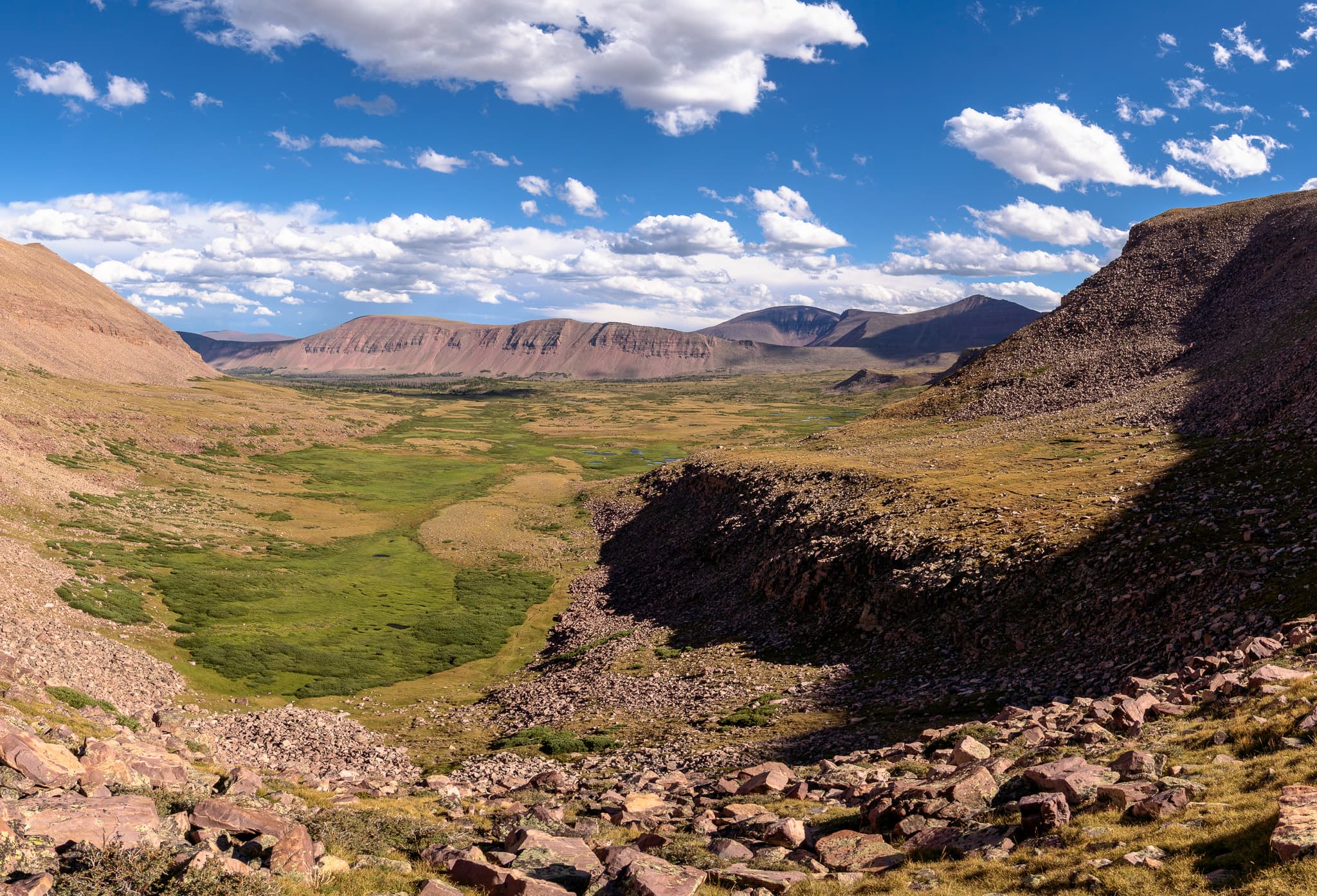 Brock in the Eagle Cap Wilderness
