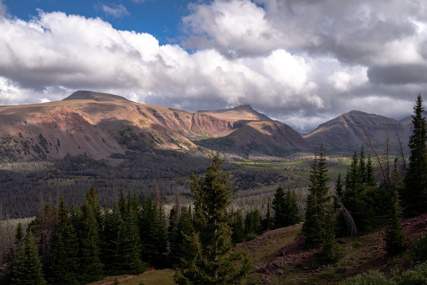 Brock in the Eagle Cap Wilderness
