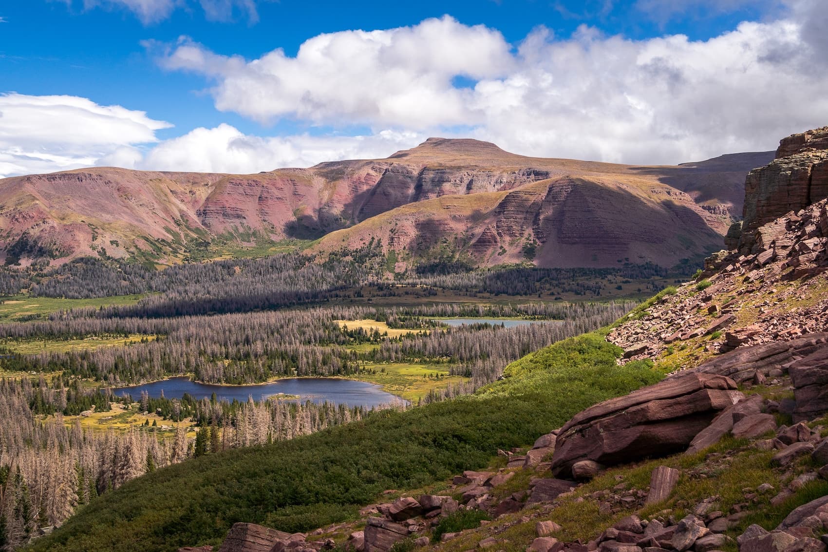 Henrys Fork Basin in the Uintas