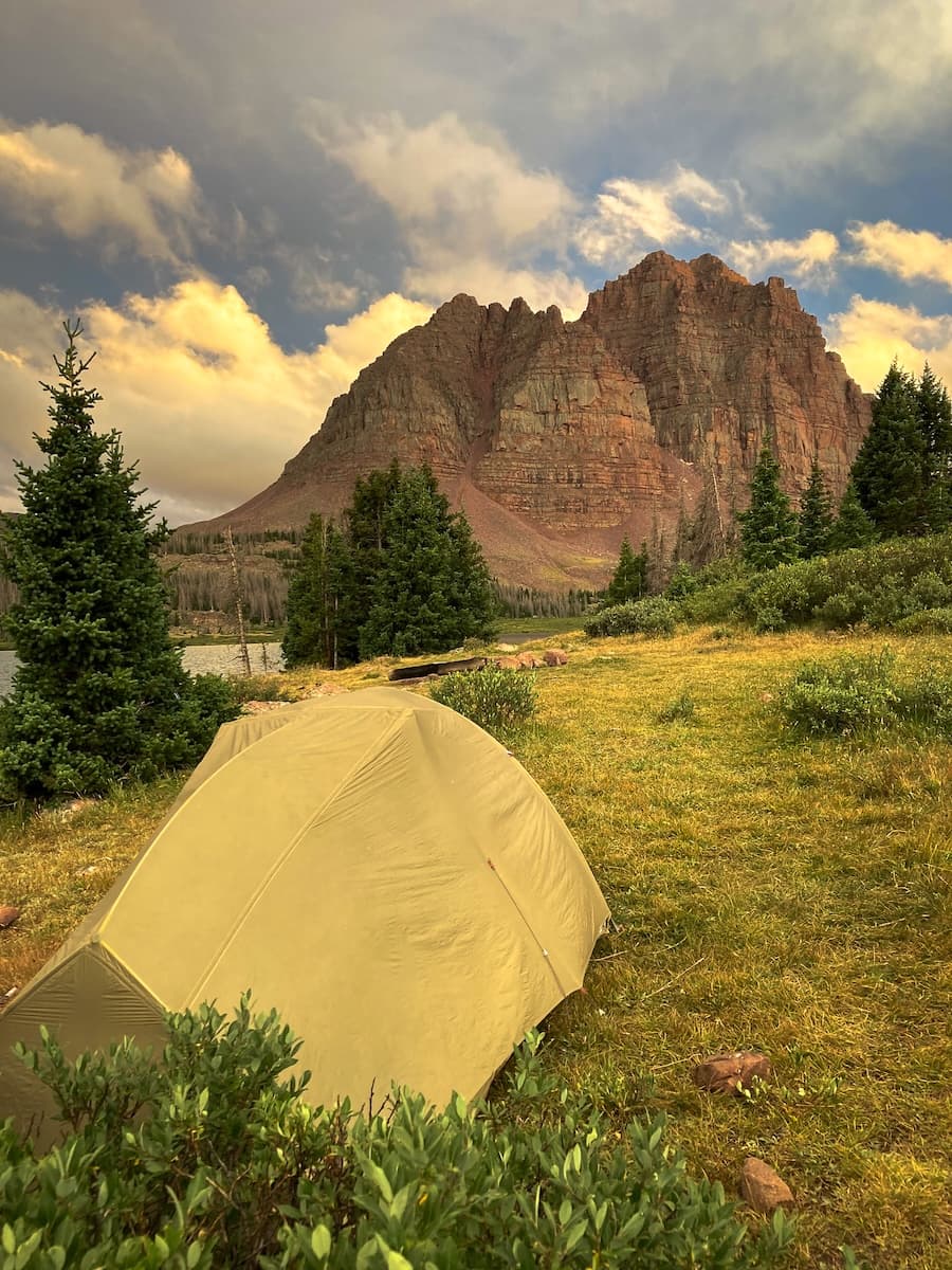 Brock in the Eagle Cap Wilderness