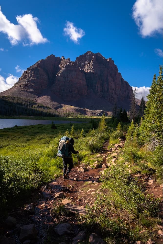 Brock in the Eagle Cap Wilderness