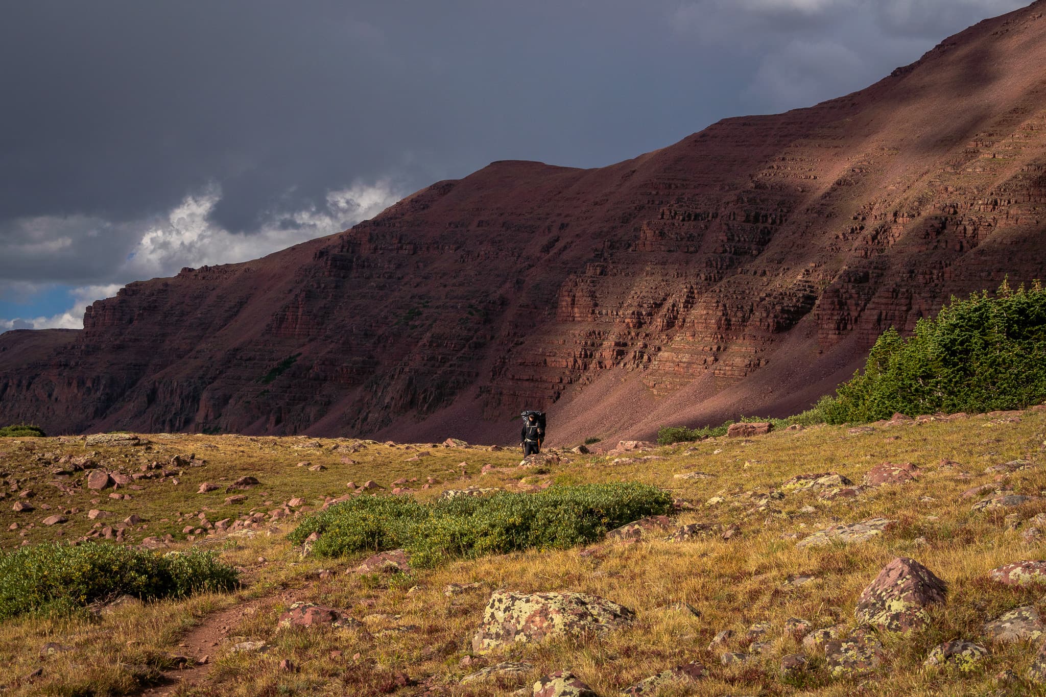 Brock in the Eagle Cap Wilderness