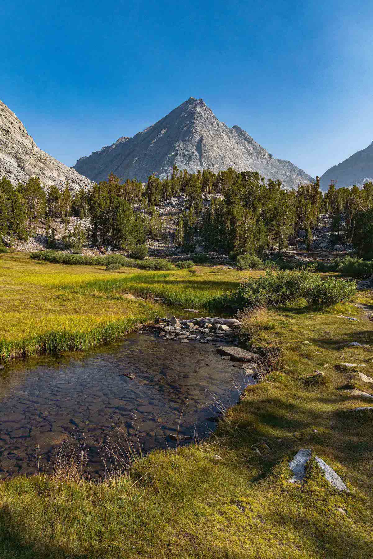 A meadow near Chickenfoot Lake