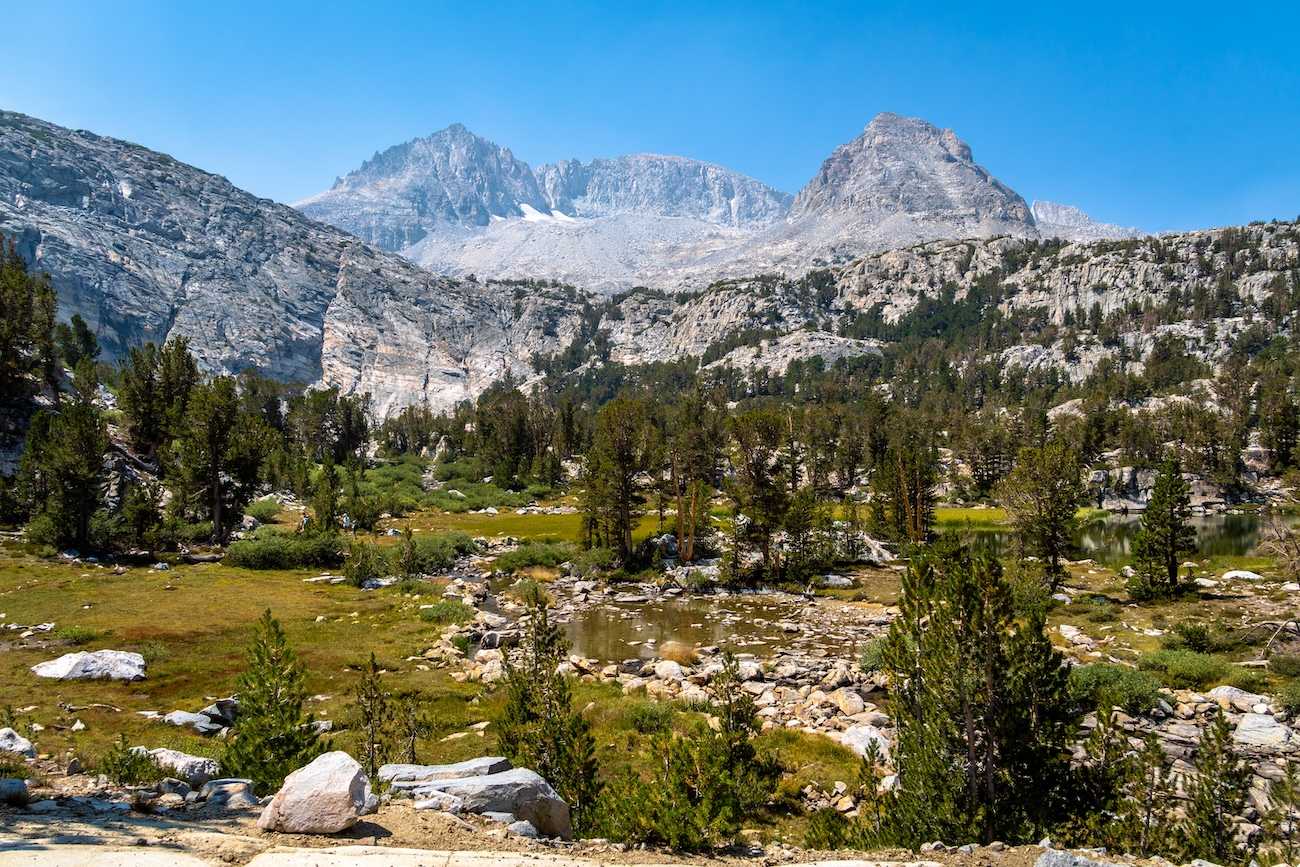 An alpine meadow near Gem Lake in The Little Lakes Valley in the Eastern Sierra. Photo by Brock Dallman