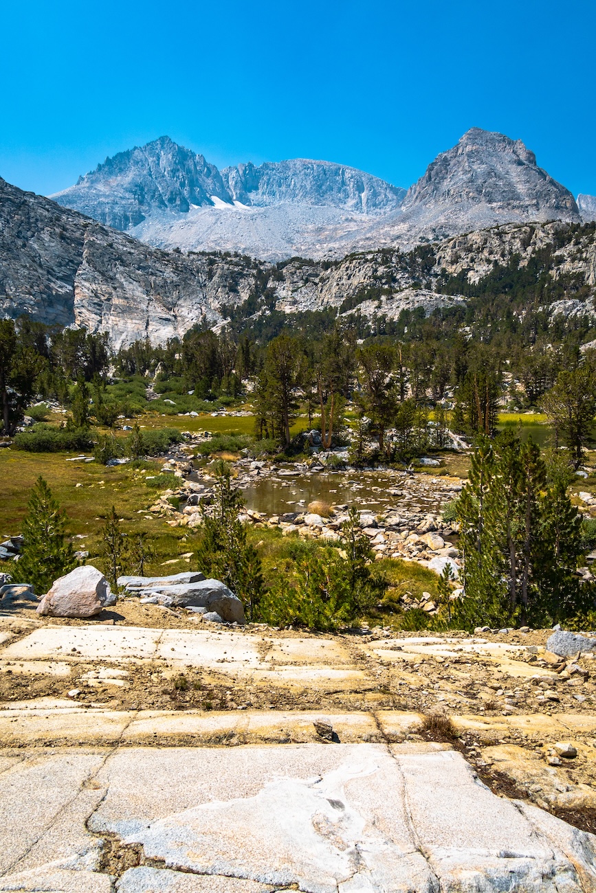 An alpine meadow near Gem Lake in The Little Lakes Valley in the Eastern Sierra. Photo by Brock Dallman