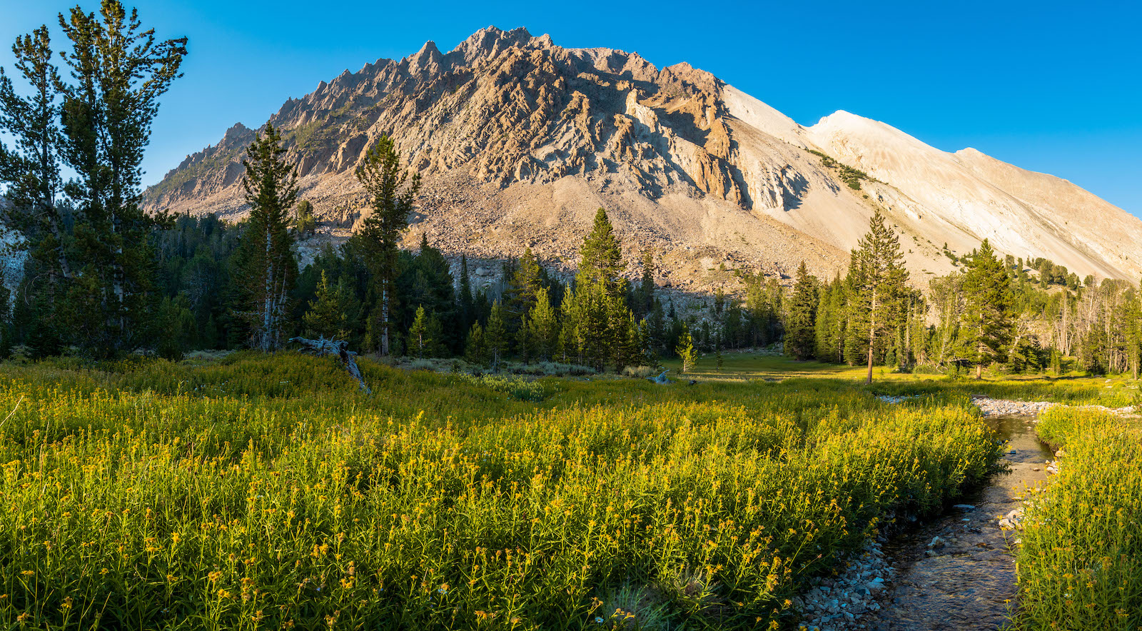 A meadow below Castle Peak in the Chamberlain Basin