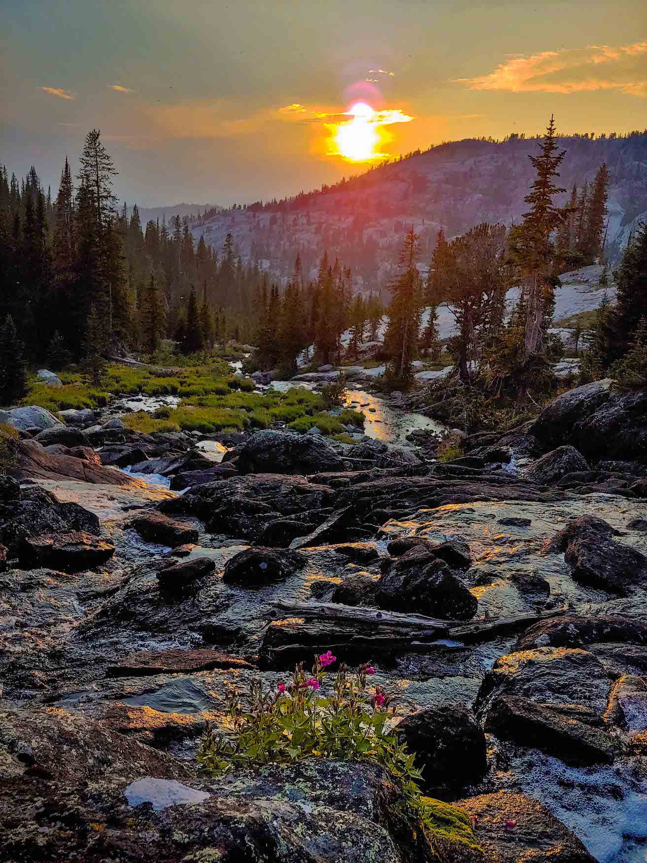 Creek Sunset in Montana's Beartooth Mountains