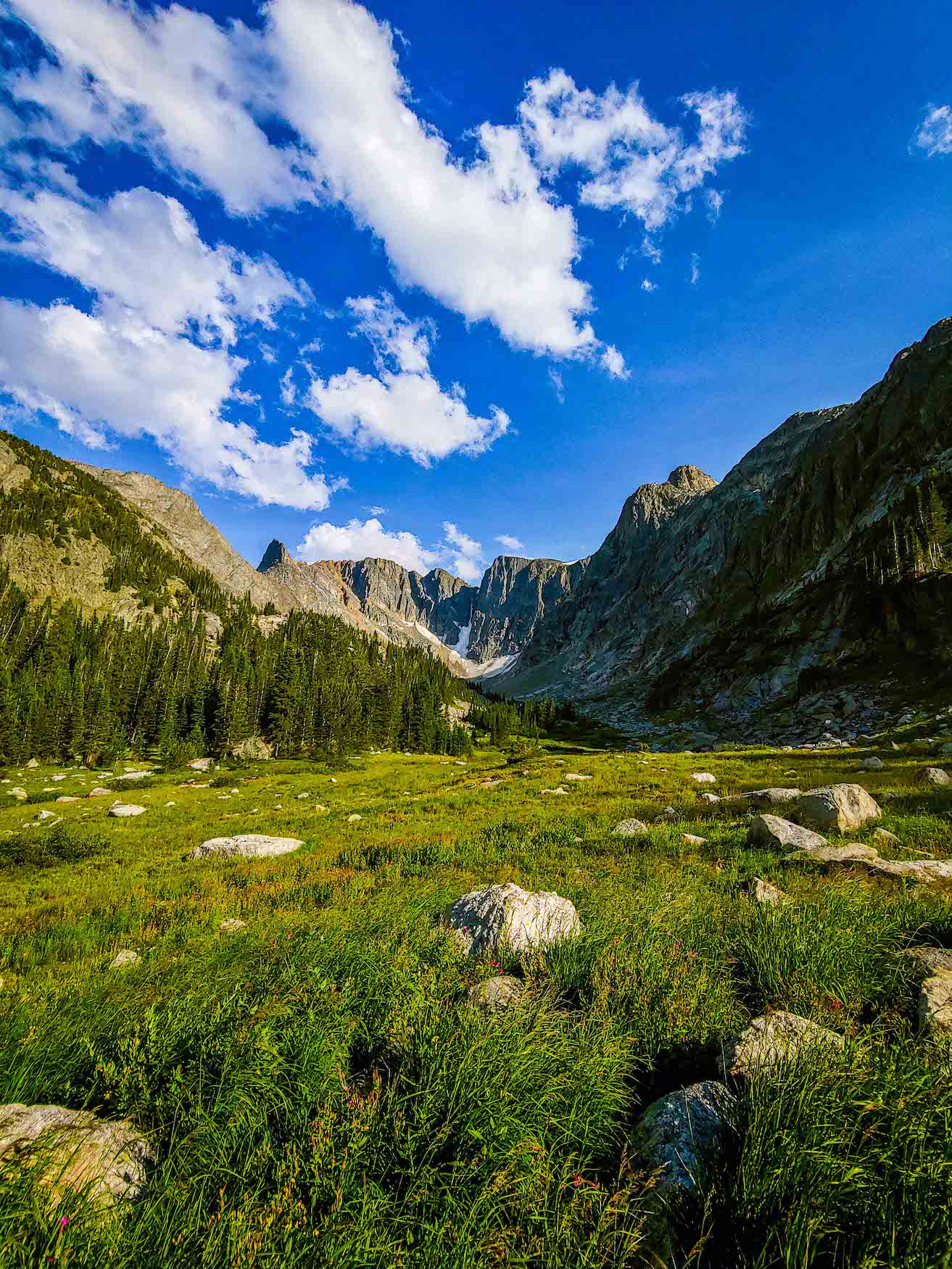 A Mountain Meadow in Montana's Bear Tooth Mountains