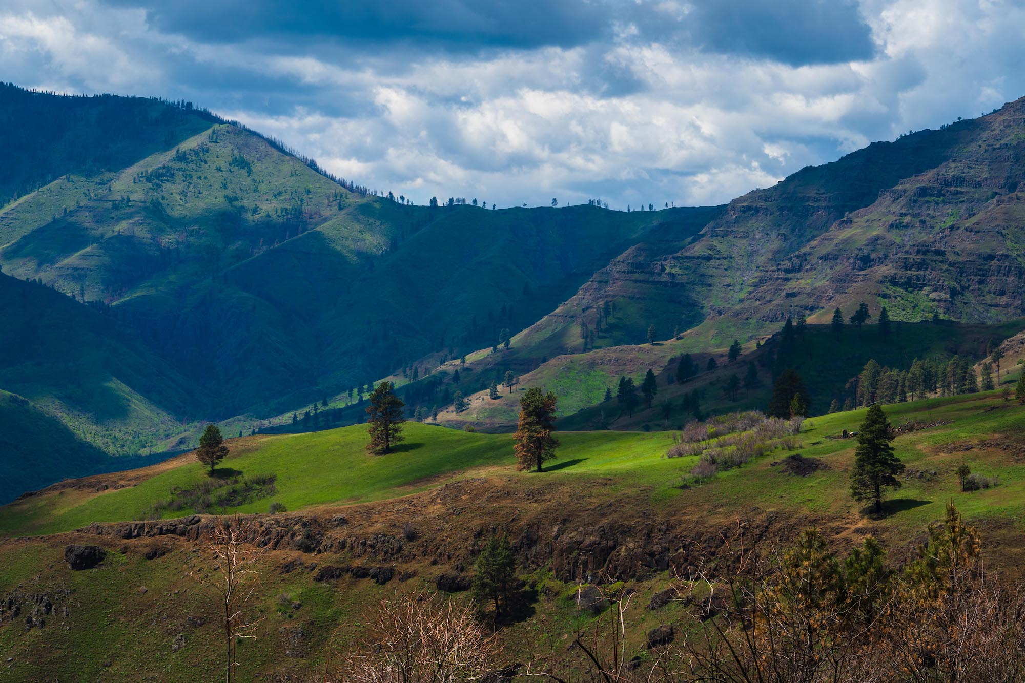 Hells Canyon Bench Trail