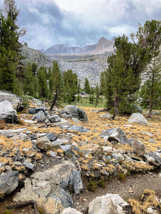 Rainy day in the Sierras