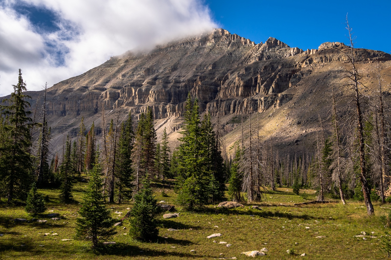 Mt. Agassiz in Utah's Uinta Mountains