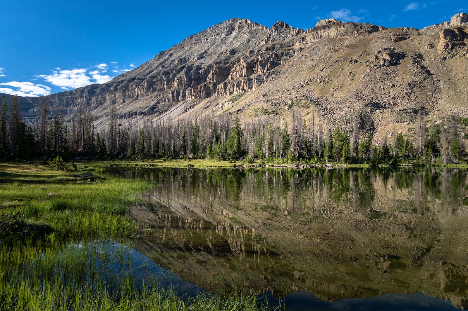 Mount Agassiz in Utah's Uinta Mountains.  Photo by Brock Dallman
