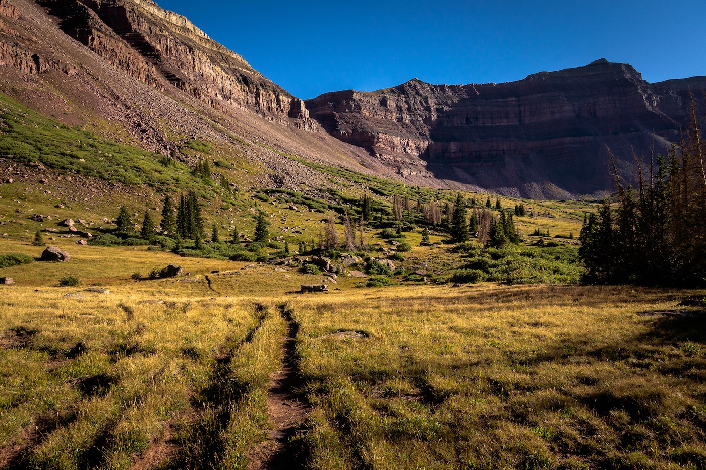 Henrys Fork Basin in Utah's Uinta Mountains.  Photo by Brock Dallman
