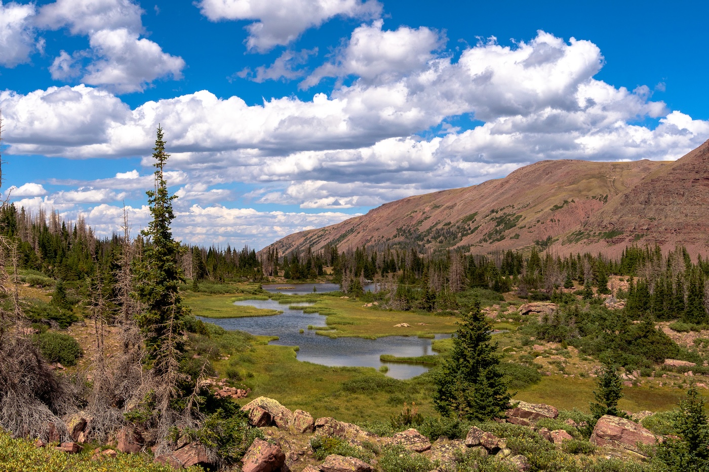 Smiths Fork Basin in Utah's Uinta Mountains.  Photo by Brock Dallman