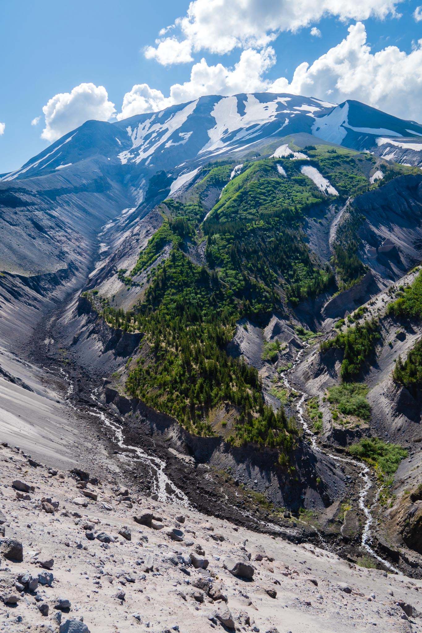 Toutle River headwaters. Photo by Brock Dallman