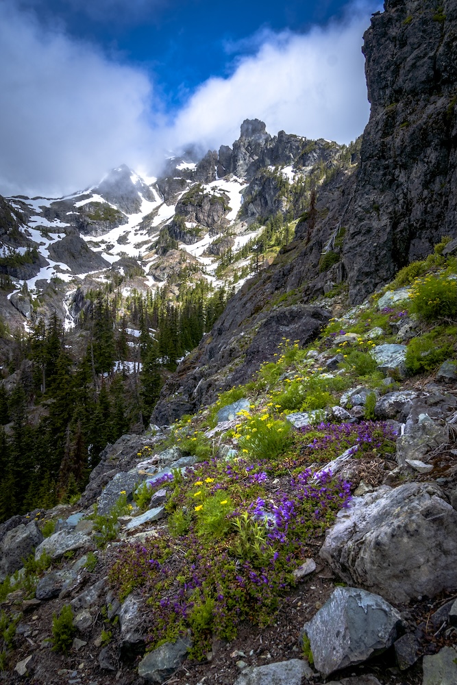 The Lemahs in Washington's Alpine Lakes Wilderness. Photo by Brock Dallman