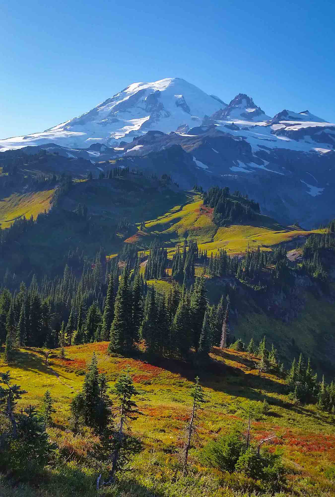 Mt Rainier in the Washington Cascades. Photo by Brock Dallman