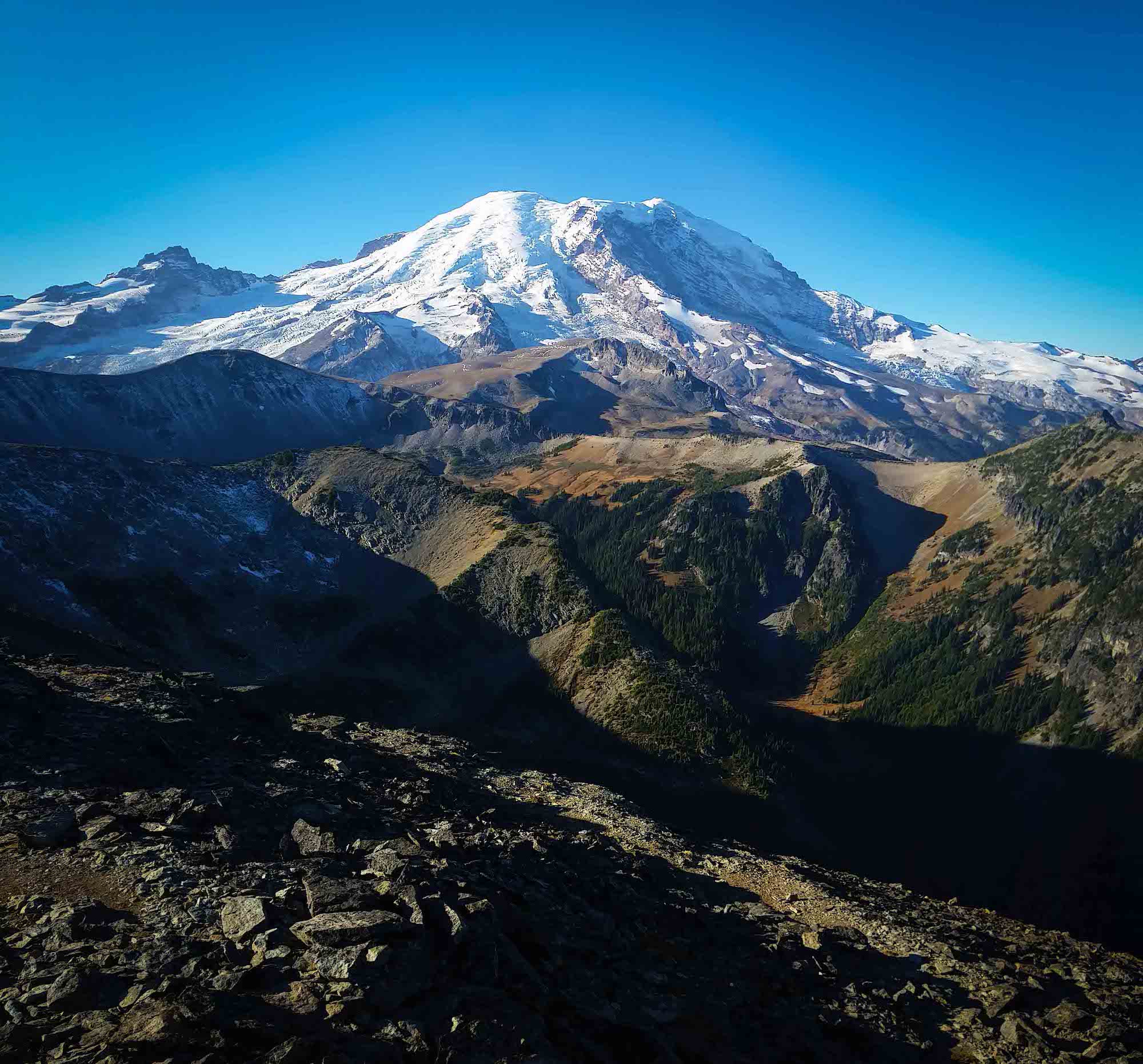 Mt. Rainier's North Face